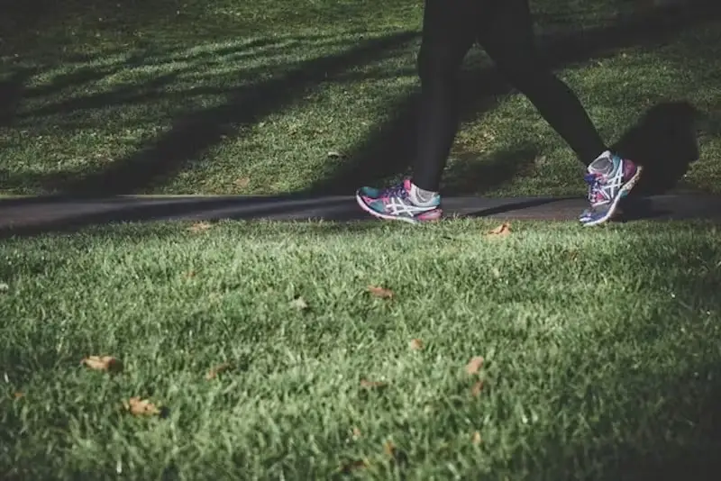 walking for weight loss