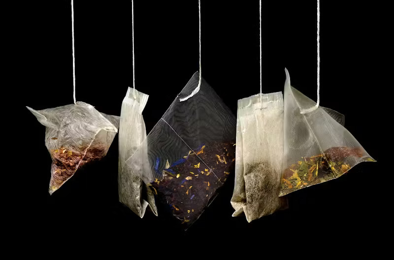 black tea weight loss