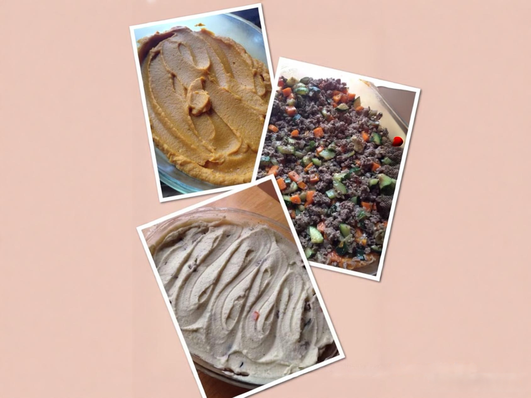 Paleo diet basics