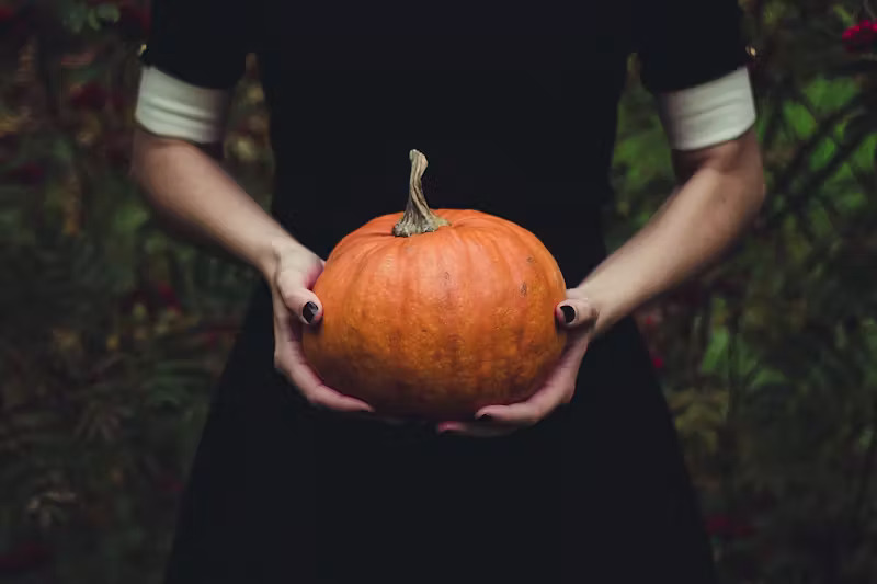pumpkin weight loss Phoenix