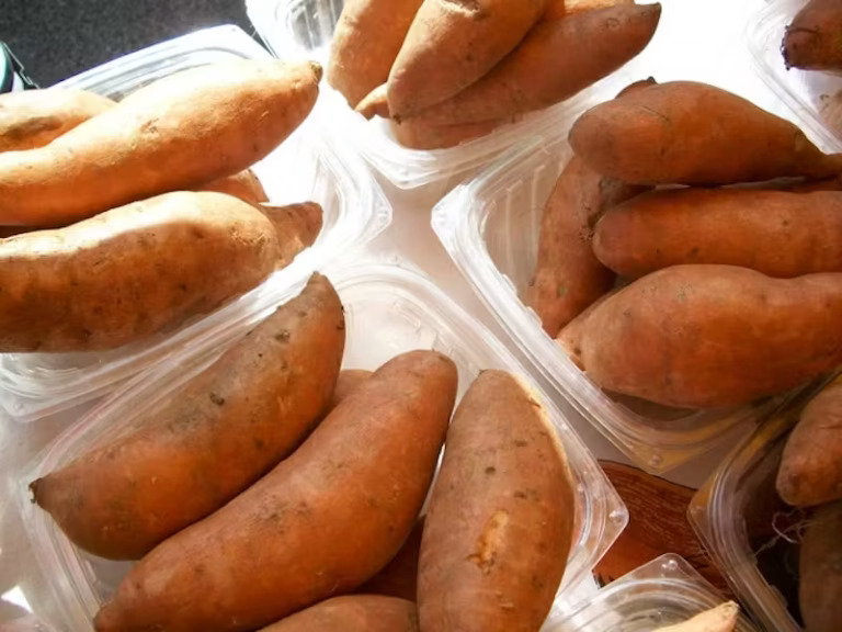 sweet potato nutrition